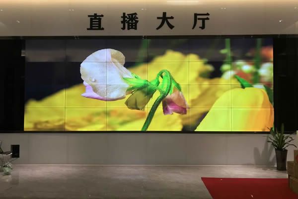 直播大屏用哪種好，直播大屏有哪些